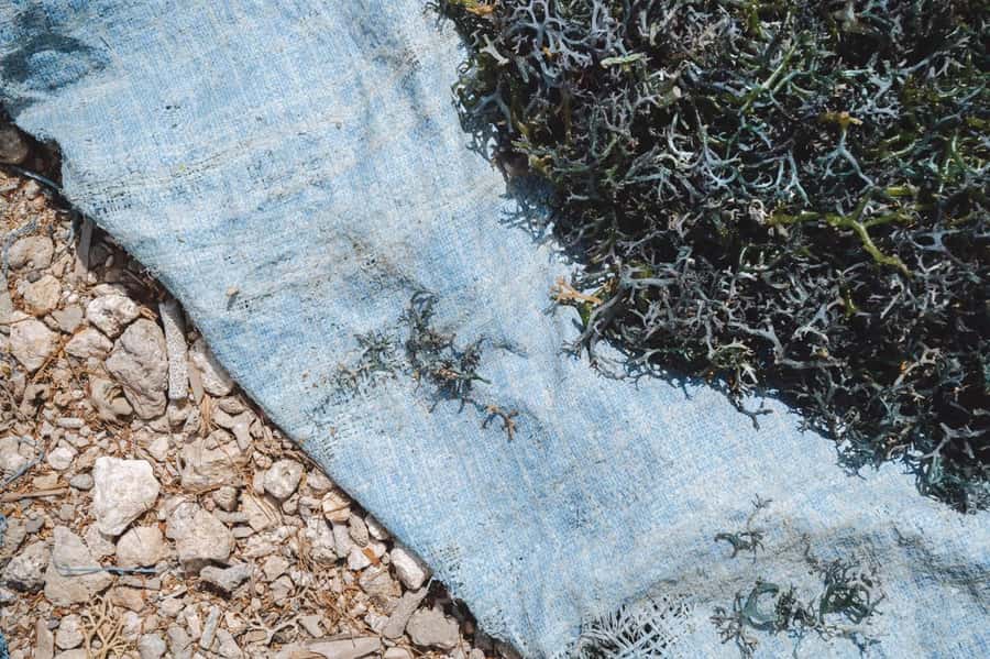Nusa Penida: Ecotourism, Seaweed Farming & East Tour - The possible Giri Putri Cave addition