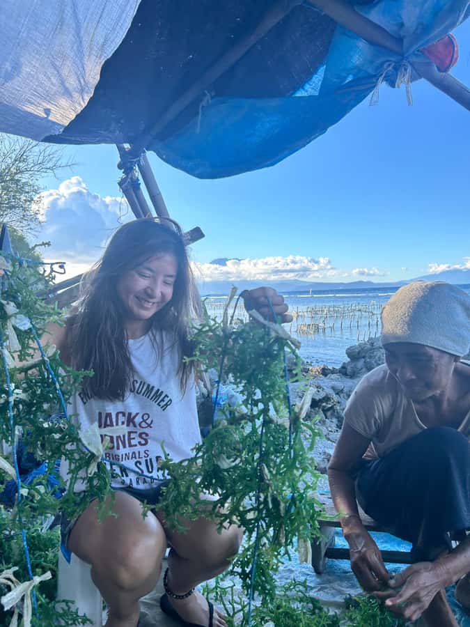 Nusa Penida: Ecotourism, Seaweed Farming & East Tour - Group size, guides, and the feel of the day