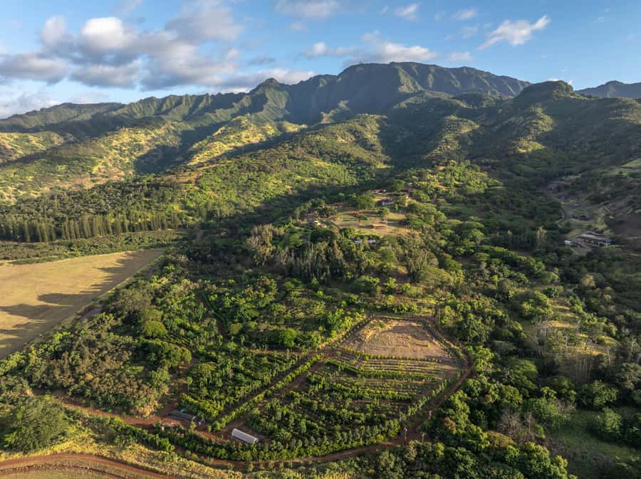 Oahu: Chocolate Farm Tour with Tasting - Kamananui Cacao - Key points at a glance