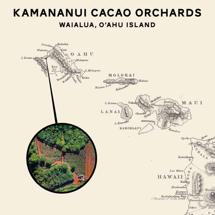 Oahu: Chocolate Farm Tour with Tasting - Kamananui Cacao - Seeing cacao as a farm crop near Haleiwa