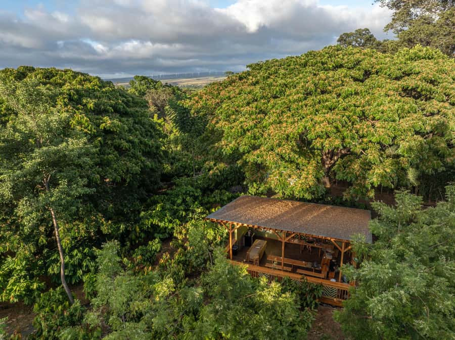 Oahu: Chocolate Farm Tour with Tasting - Kamananui Cacao - From cacao pod to chocolate bar
