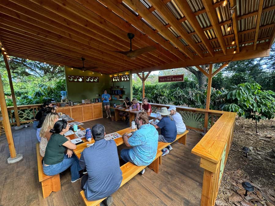 Oahu: Chocolate Farm Tour with Tasting - Kamananui Cacao - Timing, comfort, and what to bring