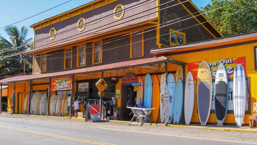 Oahu: North Shore Dole Pineapple Farm Tour - The North Shore beach break