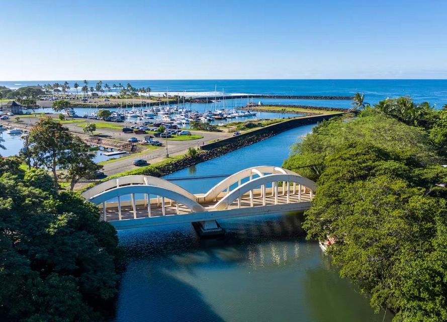Oahu: North Shore Dole Pineapple Farm Tour - A picnic with coastal views