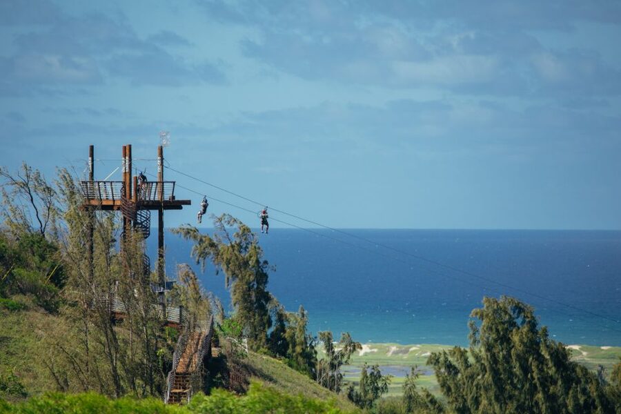 Oahu: North Shore Zip Line Adventure with ATV and Farm Tour - How the $251 price holds up