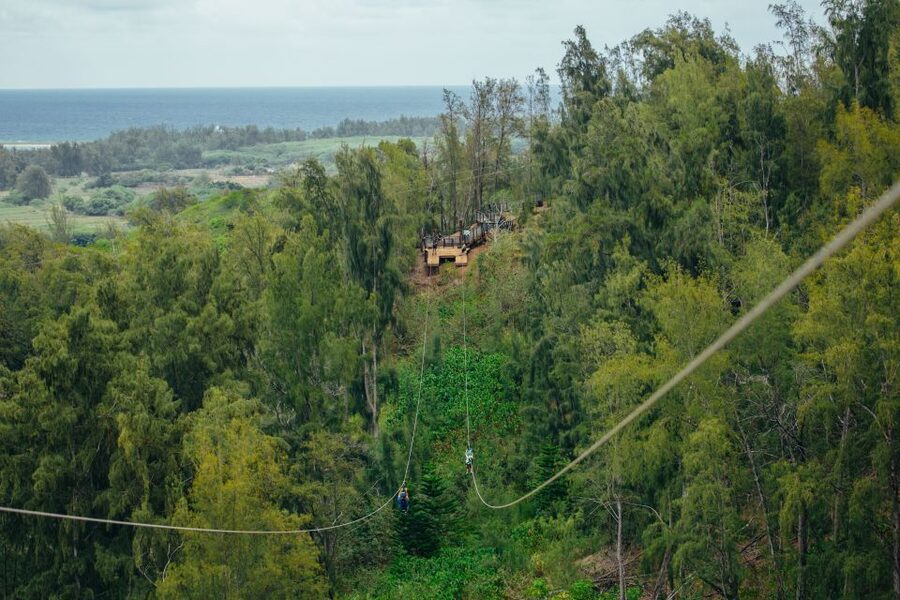Oahu: North Shore Zip Line Adventure with ATV and Farm Tour - Small details that improve the morning