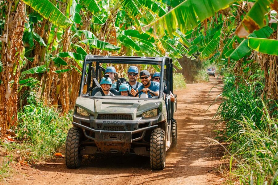 Oahu: North Shore Zip Line Adventure with ATV and Farm Tour - Should you book the North Shore zip-line adventure?