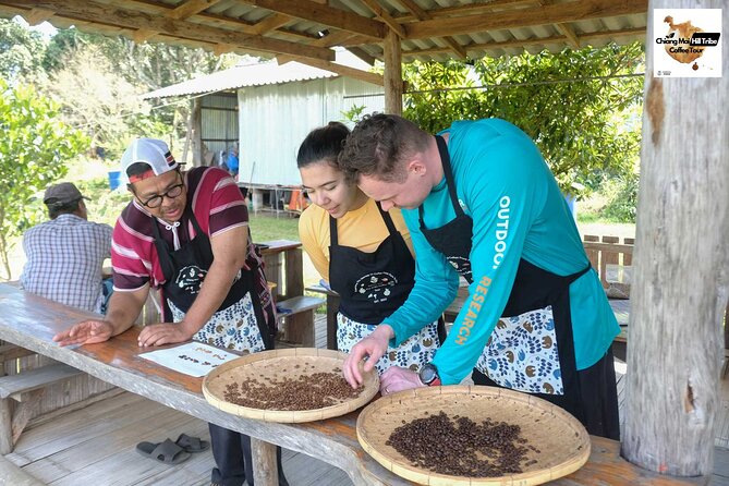 Off the Map Chiang Mai Jungle Coffee Trek Roast and Brew - Coffee starts long before the café