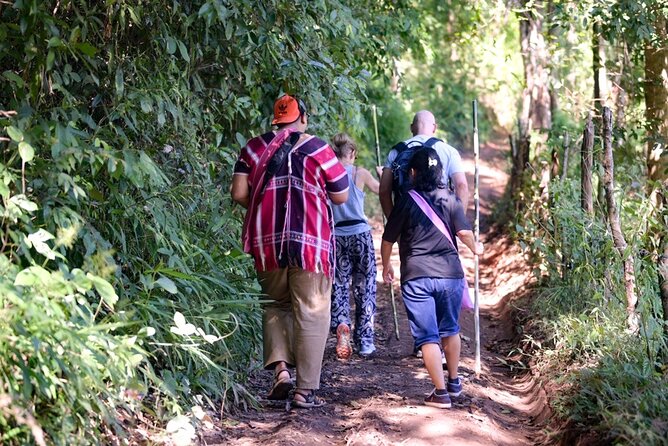 Off the Map Chiang Mai Jungle Coffee Trek Roast and Brew - From Chiang Mai Old City to the Karen Highlands