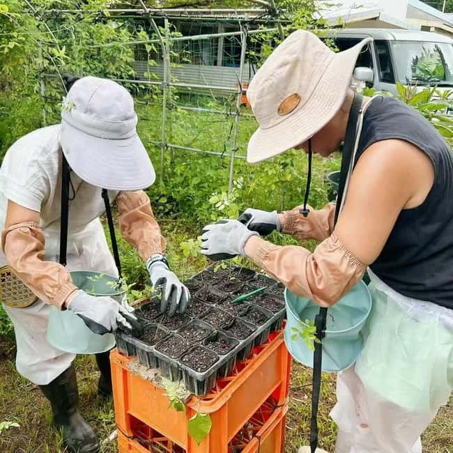 Okinawa: Traditional farming experience & cooking and a meal - What the $61 price gives you