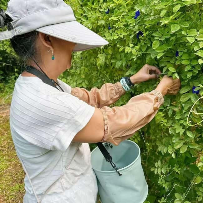 Okinawa: Traditional farming experience & cooking and a meal - Timing, languages, and practical planning
