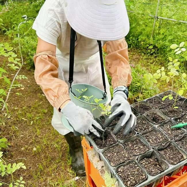 Okinawa: Traditional farming experience & cooking and a meal - Who will enjoy this most