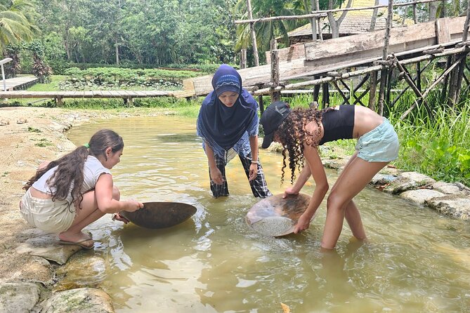 Old Phuket Farm Ticket - Countryside Local Life Culture - Rice fields and the work behind every bowl