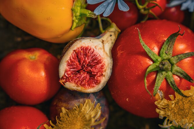 Olive farm & village - Key points to know before you book