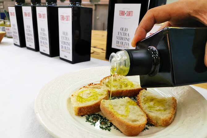 Olive harvest, visit to the oil mill and typical lunch - Tasting extra virgin olive oil with useful context