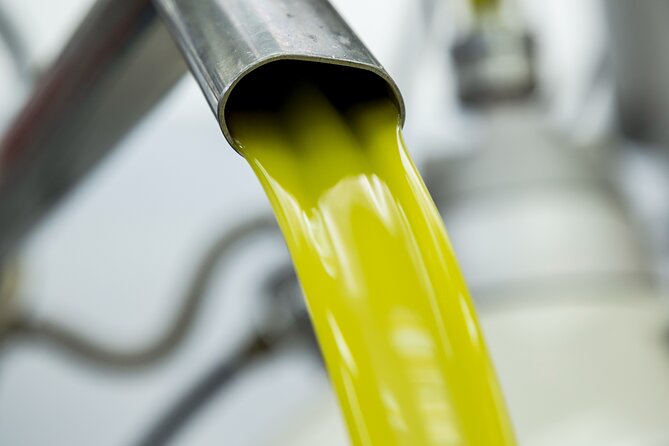 Olive harvest, visit to the oil mill and typical lunch - A generous Sicilian lunch at the end