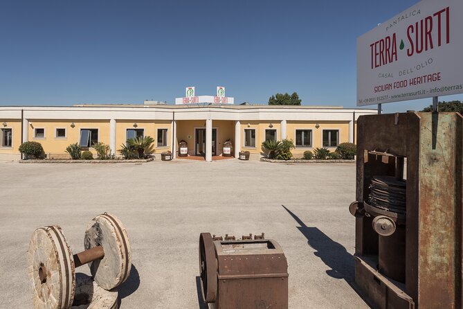 Olive harvest, visit to the oil mill and typical lunch - Is the $120.41 price good value?