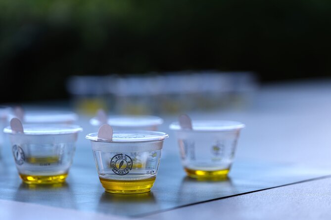 Olive Oil Tasting at the Mykonian Farm - The Farm Setting and What Not to Assume