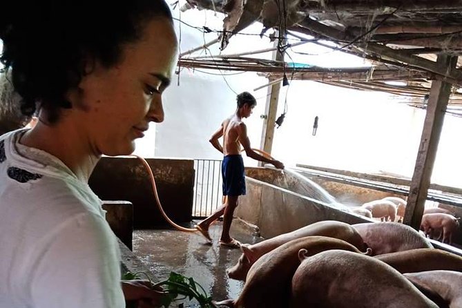 One day be Farmer and Master chef in Saigon - Why the farm-to-table idea works here