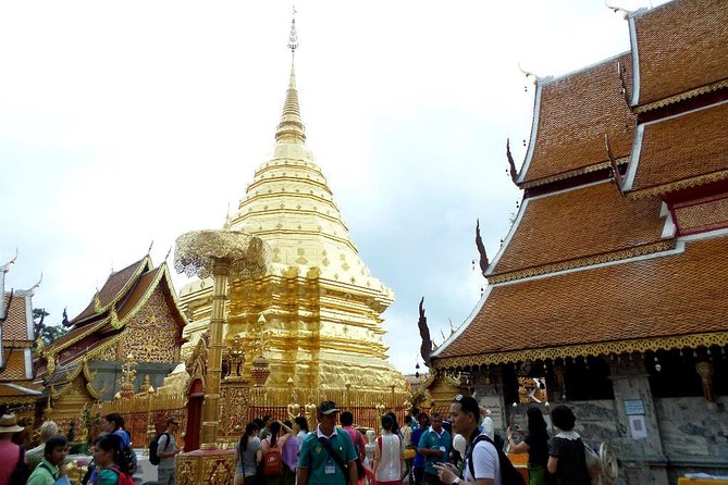 One Day Tour Doi Suthep Temple, Palad Temple, Orchid Farm, Longneck hill tribe village (Private tour) - Why this Chiang Mai day works well