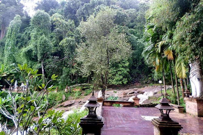 One Day Tour Doi Suthep Temple, Palad Temple, Orchid Farm, Longneck hill tribe village (Private tour) - Orchids and butterflies at Bai Orchid Farm