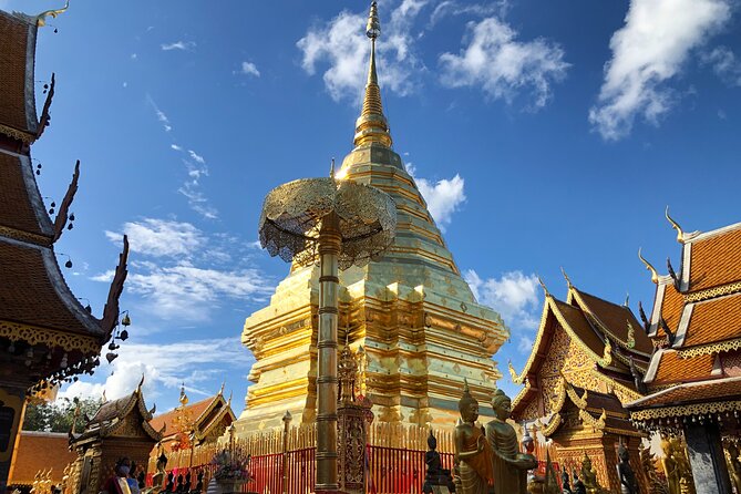 One Day Tour Doi Suthep Temple, Palad Temple, Orchid Farm, Longneck hill tribe village (Private tour) - A thoughtful visit to the Karen Long Neck village