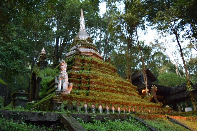 One Day Tour Doi Suthep Temple, Palad Temple, Orchid Farm, Longneck hill tribe village (Private tour) - Khao soi makes lunch part of the tour