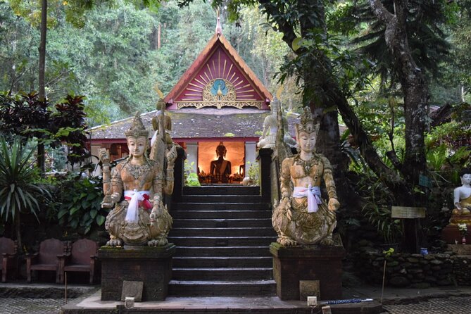 One Day Tour Doi Suthep Temple, Palad Temple, Orchid Farm, Longneck hill tribe village (Private tour) - What the private car and guide add