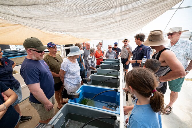 One Hour Coral Farm Tour, Discover Australia's Marine Life - Guides who make the hour work