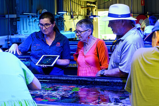 One Hour Coral Farm Tour, Discover Australia's Marine Life - Plan around the 10am start