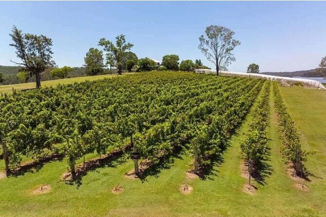 One Hump Camel Farm and Wine Tour - The pace, vehicle, and private setting