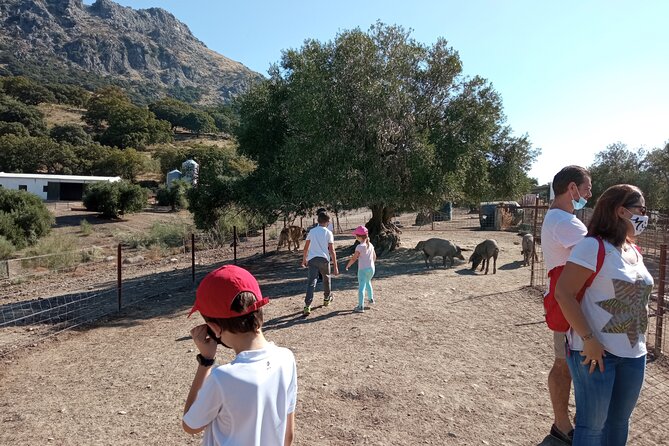 Organic Iberian Ham, farm visit and premium tasting! - Touring the organic farm facilities