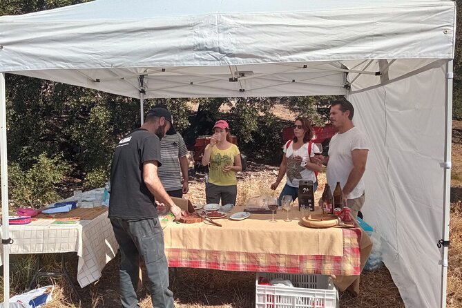 Organic Iberian Ham, farm visit and premium tasting! - The premium ham and organic lunch