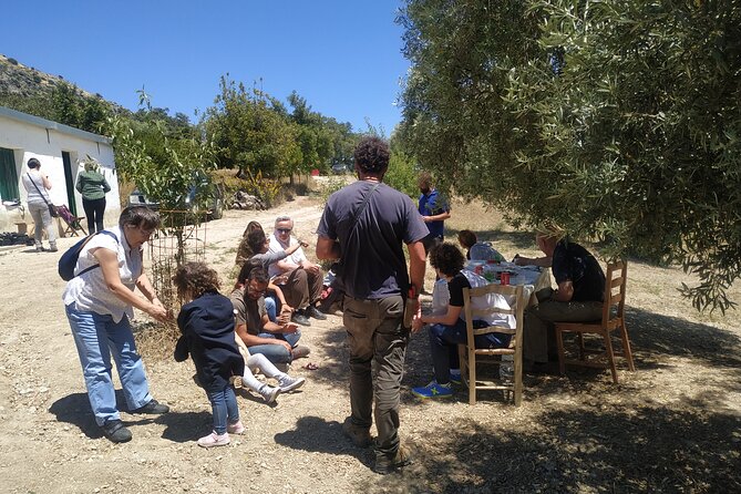Organic Iberian Ham, farm visit and premium tasting! - Moving between farm sections by 4x4