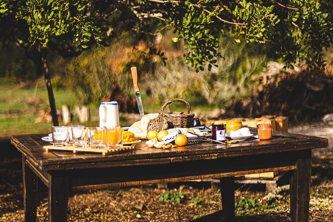 Organic Orange Picking & Jam Making with Farm-to-Table Lunch - A one-hour Algarve lunch at the family table