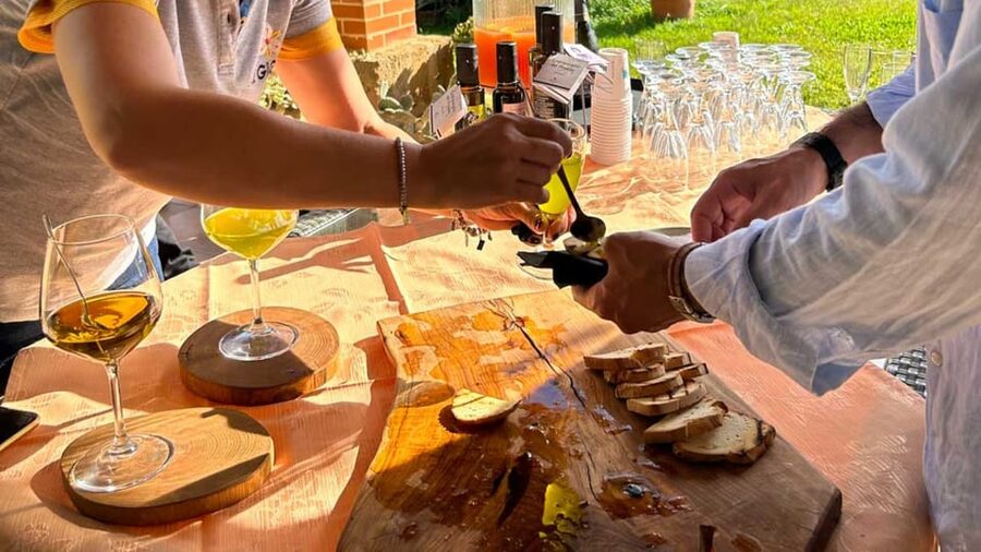 Oristano: visit a farm with oil tasting - Key points to know before you book