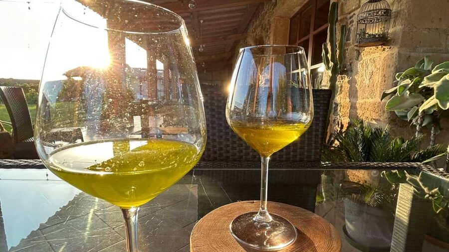 Oristano: visit a farm with oil tasting - From fruit to bottle: how excellent oil is made