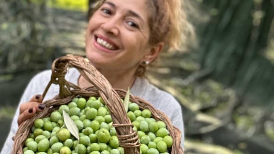 Oristano: visit a farm with oil tasting - Learning to tell extra virgin oil from lower grades