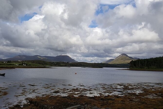 Oyster Farm and Tasting Experience - A working oyster farm near Clifden
