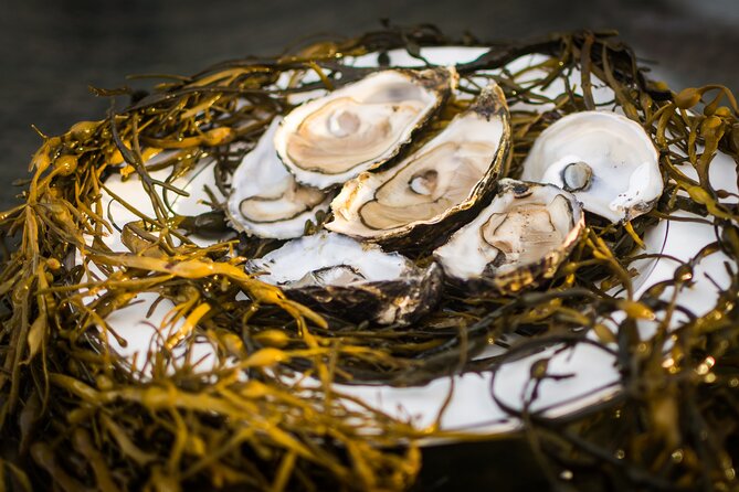 Oyster Farm and Tasting Experience - A good family activity, with one important warning