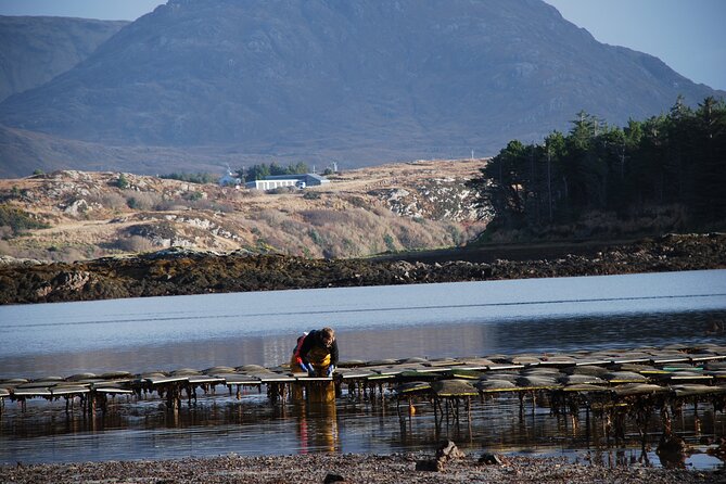 Oyster Farm and Tasting Experience - What makes this visit different from a seafood meal