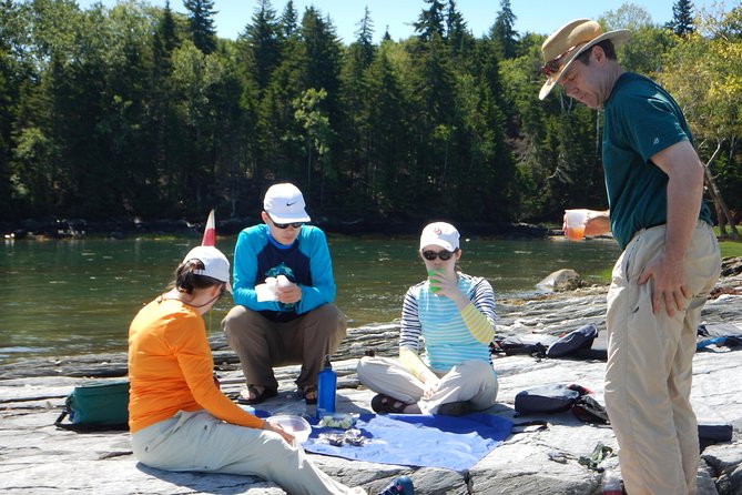 Oyster Farm & Complimentary Tasting Sea Kayak Tour in Casco Bay - Why the oyster stop makes this Casco Bay trip different