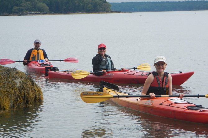Oyster Farm & Complimentary Tasting Sea Kayak Tour in Casco Bay - Choosing a single or tandem sea kayak