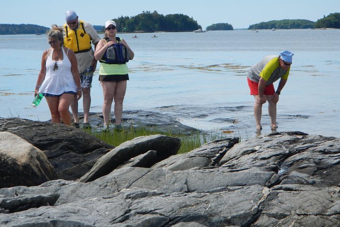 Oyster Farm & Complimentary Tasting Sea Kayak Tour in Casco Bay - The island oyster picnic