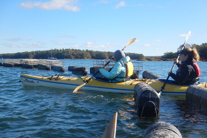 Oyster Farm & Complimentary Tasting Sea Kayak Tour in Casco Bay - Who will enjoy Alice’s guiding style