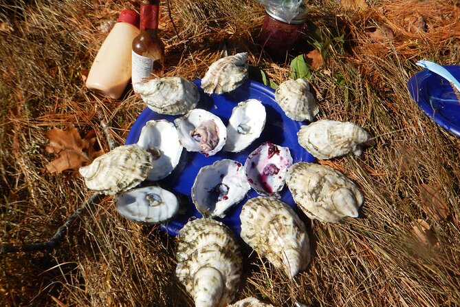 Oyster Farm & Complimentary Tasting Sea Kayak Tour in Casco Bay - Starting at 8:15 am in Brunswick