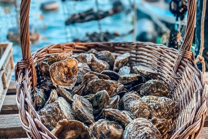 Oyster farm experience / Private day trip from Dubrovnik - Mali Ston Bay and the oyster farms