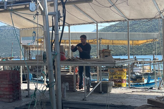 Oyster Farm, Ston and Winery Tour - Ston brings walls, salt, and a change of pace