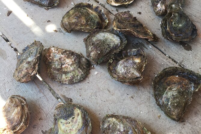 Oyster Farm, Ston and Winery Tour - What the $178.26 price includes