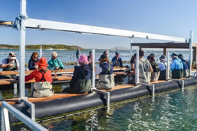 Oyster Farm Tour with Hotel Pick-up and return from Port Lincoln - Key points before you book